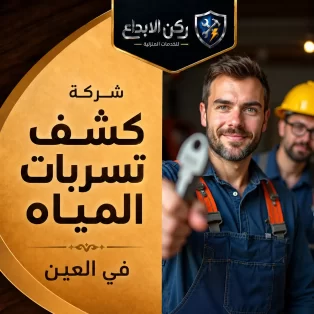 شركة كشف تسربات المياه في العين