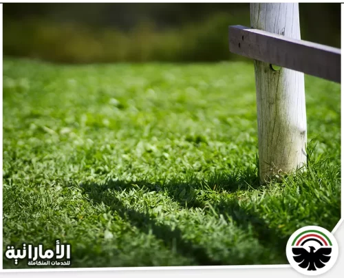 تركيب عشب صناعي في العين 0582600901 شركة المؤسسة الإماراتية نستخدم العشب الصناعي لتحسين مظهر الحدائق والمناطق الخارجية في العين، مع ضمان طول العمر.