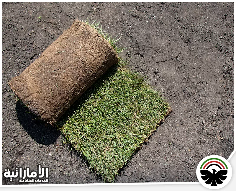 تركيب العشب الصناعي على التراب دبي 0582600901 المؤسسة الاماراتية لفافة من العشب الصناعي على التراب، جاهزة للتركيب لتحويل المساحات إلى خضراء.