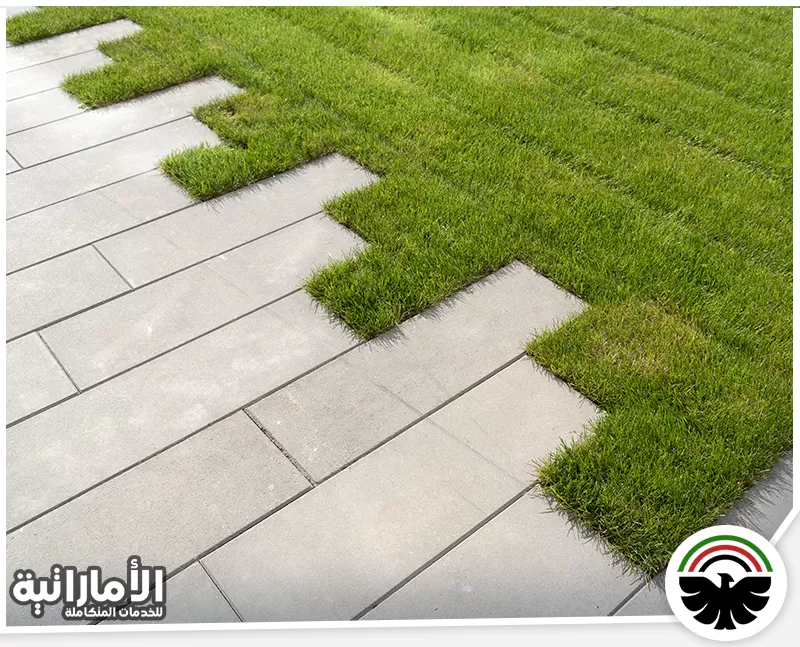 تركيب عشب اصطناعي في دبي 0582600901 المؤسسة الاماراتية إبداع في دمج العشب الصناعي مع الأرضيات الحجرية لتصاميم حدائق عصرية وفريدة.