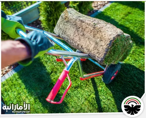 تركيب عشب صناعي في العين 0582600901 شركة المؤسسة الإماراتية معدات متطورة لتركيب العشب الصناعي في العين لضمان التنفيذ السريع والجودة العالية.