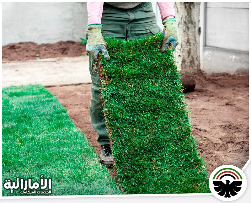 تركيب عشب صناعي للملاعب الصغيرة في الفجيرة 0553689103 شركة الاماراتيه اختيار لوح عشب صناعي وفرده على التربة لتجهيز حديقة خضراء بتركيب ثابت يناسب المساحات الخارجية بعناية.