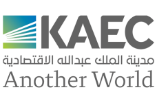 الشريك 3