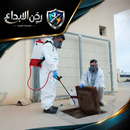اطلب رش حشرات في الشارقة 0553689103 ركن الابداع